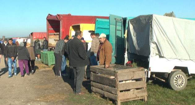 Fermierii sătmăreni, revoltaţi  de preţurile scăzute din târguri