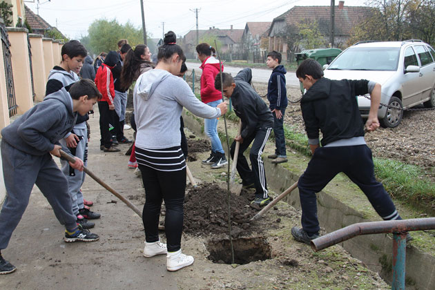 Prima acţiune de plantare de puieţi din această toamnă