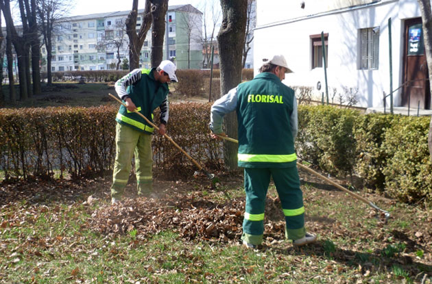 Primăria prelungeşte curăţenia  de toamnă în Satu Mare