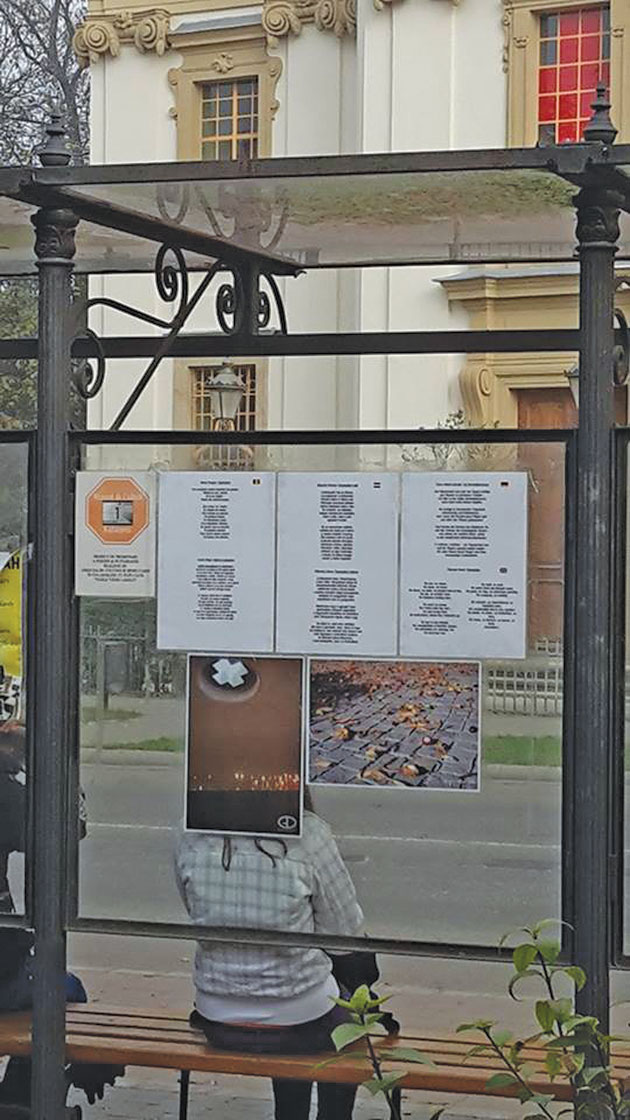 “Minutul de cultură” continuă în noiembrie la Carei