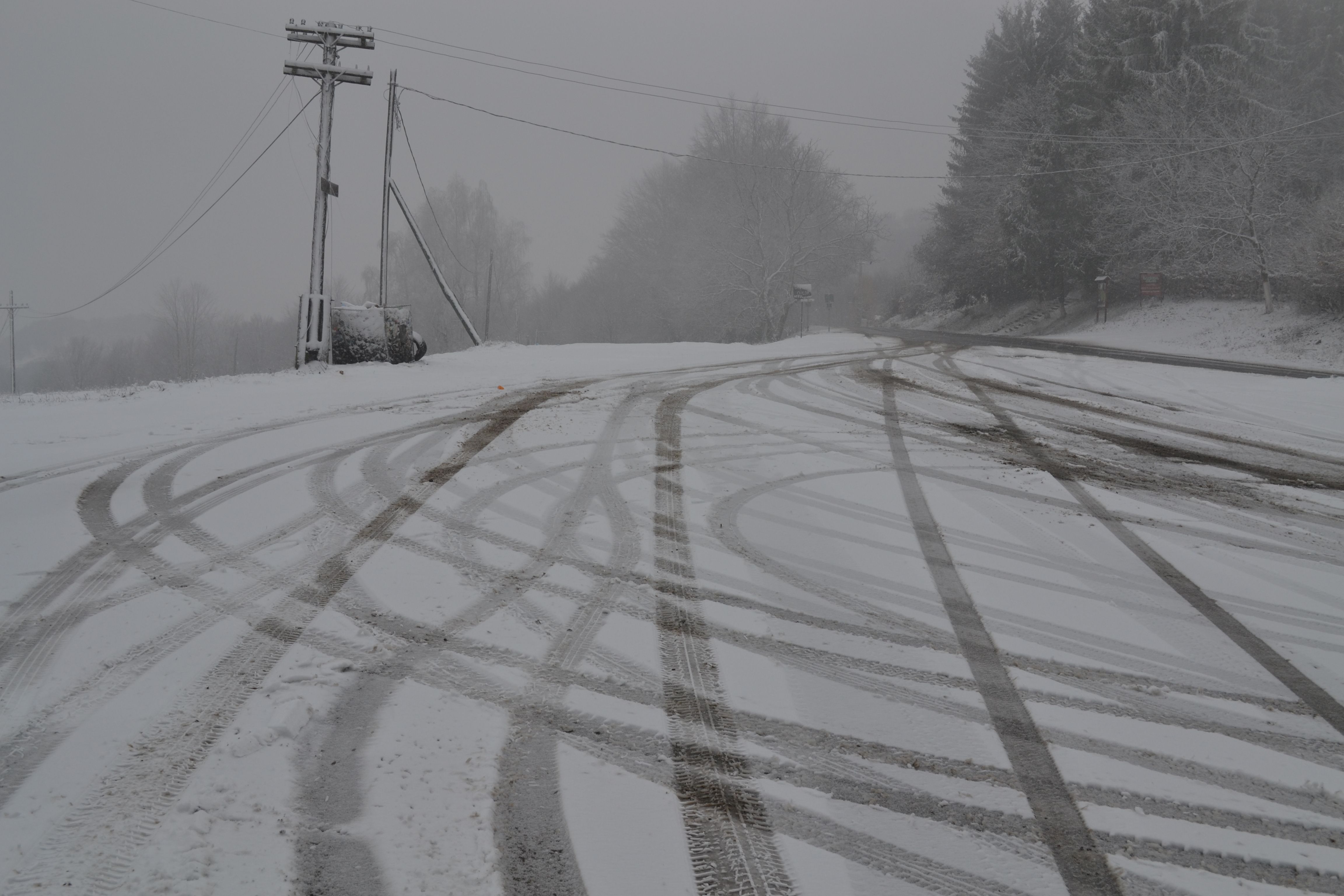 Prima NINSOARE în JUDEŢ. Vezi UNDE a NINS azi