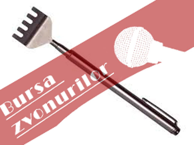 Ambiţiile lui Scărpinici