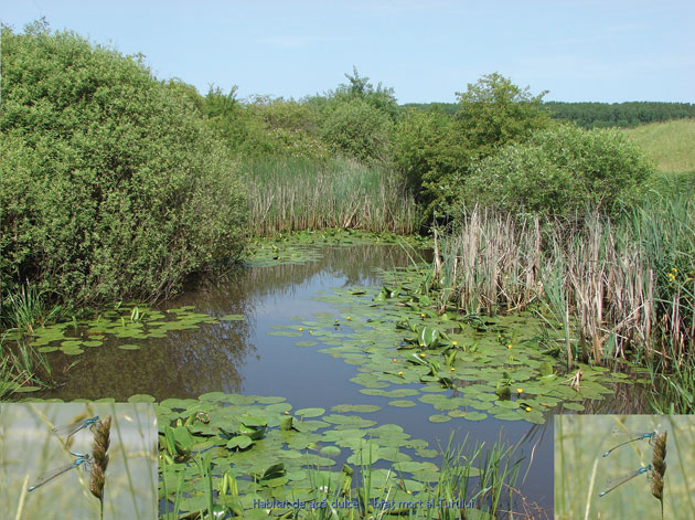 Ariile protejate vor fi extinse în judeţ
