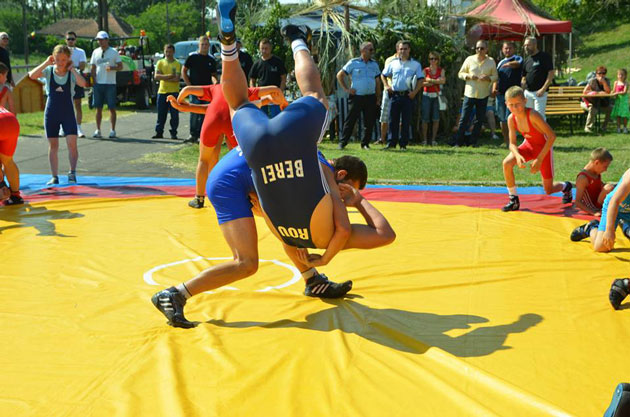 Lenard Berei, premiat la Gala Laureaţilor Federaţiei Române de Lupte