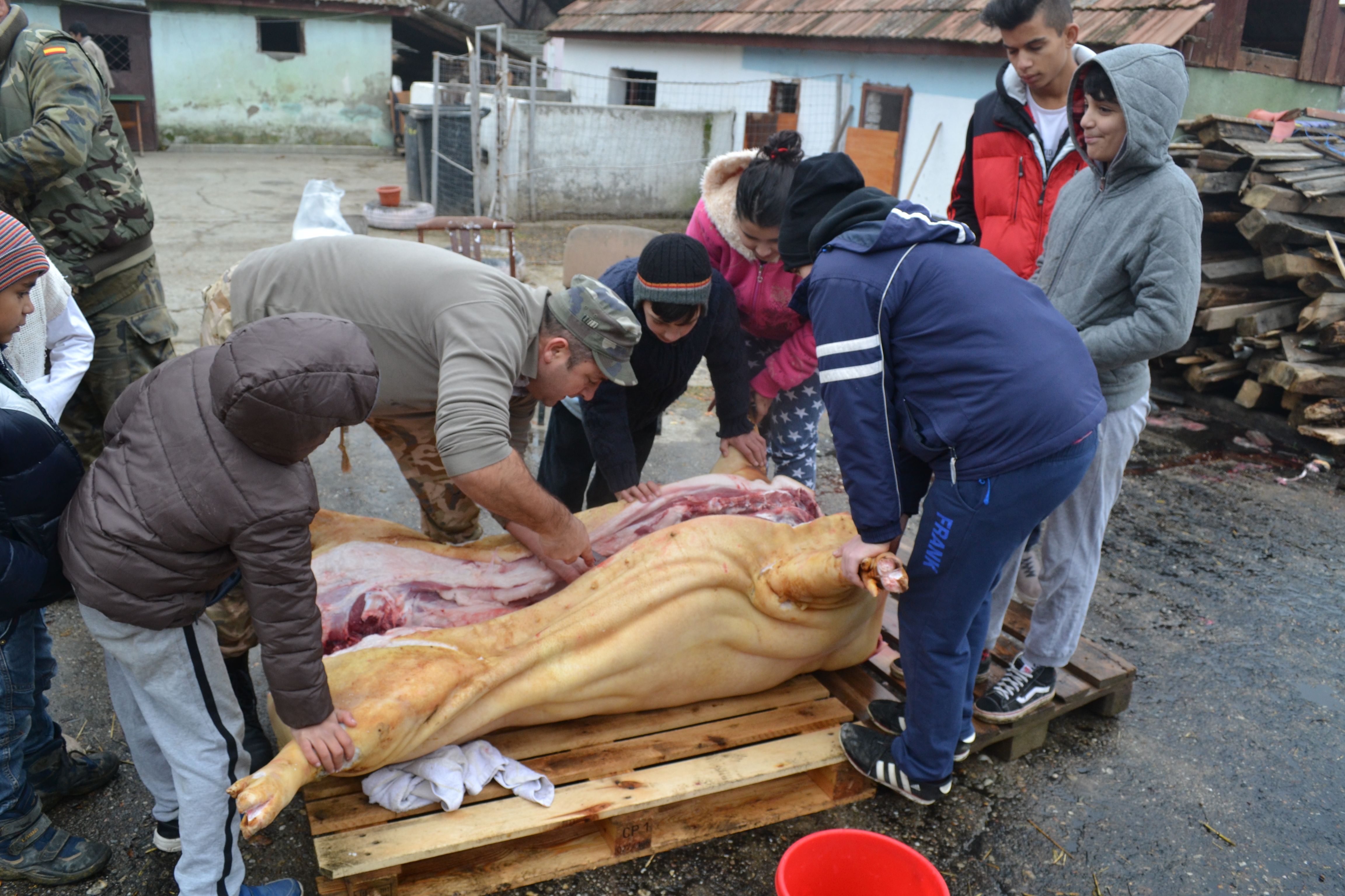 Centrul "Iris" din Berindan, o adevărată casă pentru copii