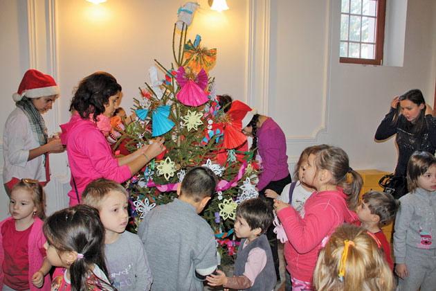 Brad Ecologic împodobit la “Casa Verde”