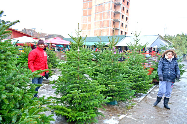 Comercianţii de BRAZI au INVADAT pieţele. Vezi PREŢURILE