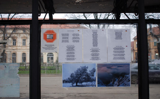 Minutul de cultură continuă şi în decembrie la Carei