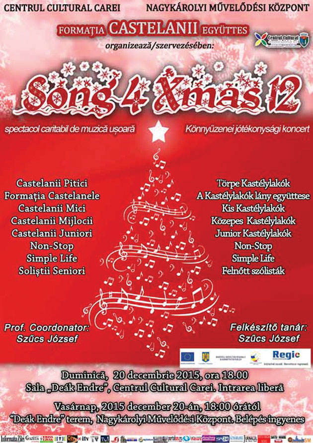 Concert caritabil la Centrul Cultural din Carei