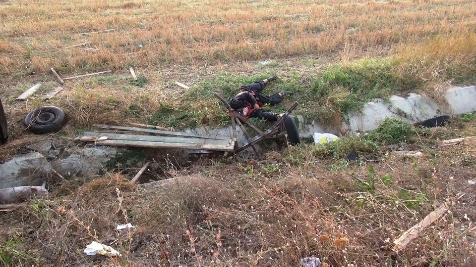 Un NEGREŞTEAN s-a răsturnat cu căruţa în ŞANŢ