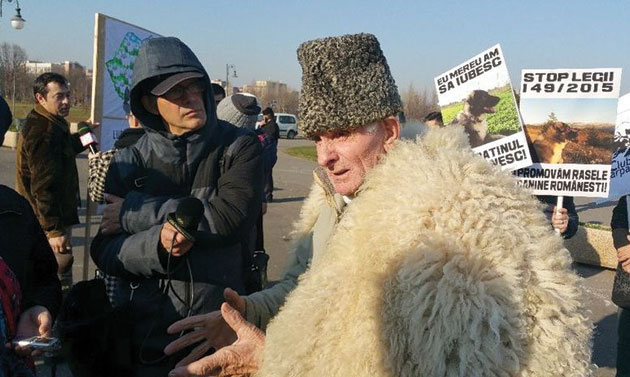 Ciobanii din Satu Mare îi ameninţă  pe vânători