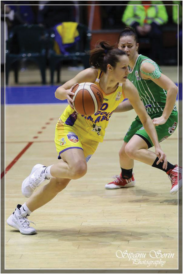 BC ICIM Arad renunță la performanță