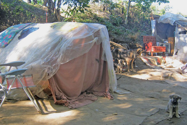 Strategie pentru eliminarea sărăciei în Satu Mare