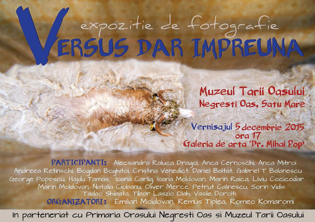 Expoziţia ”Versus dar Împreună”, la a VI-a ediție