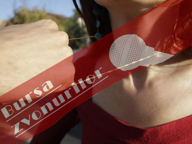 Sătmărence terorizate