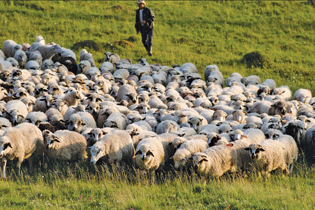 Fermierii riscă să rămână fără subvenţii