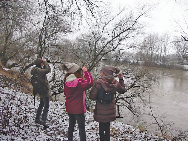 Recensământul păsărilor de apă s-a finalizat în judeţ