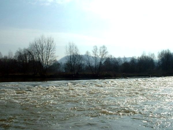 Cod GALBEN hidrologic pentru judeţul Satu Mare. PERICOL de INUNDAŢII până MARŢI