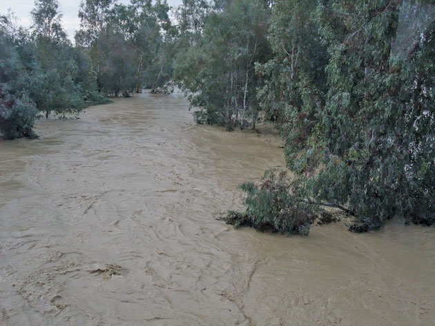 Cod galben hidrologic pentru judeţul Satu Mare