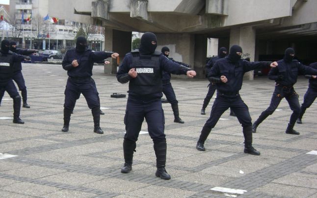 Peste 300 de fapte PENALE constatate de JANDARMII sătmăreni în 2015