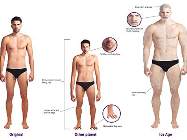 Modificările genetice pe care le-ar putea suferi oamenii în viitor