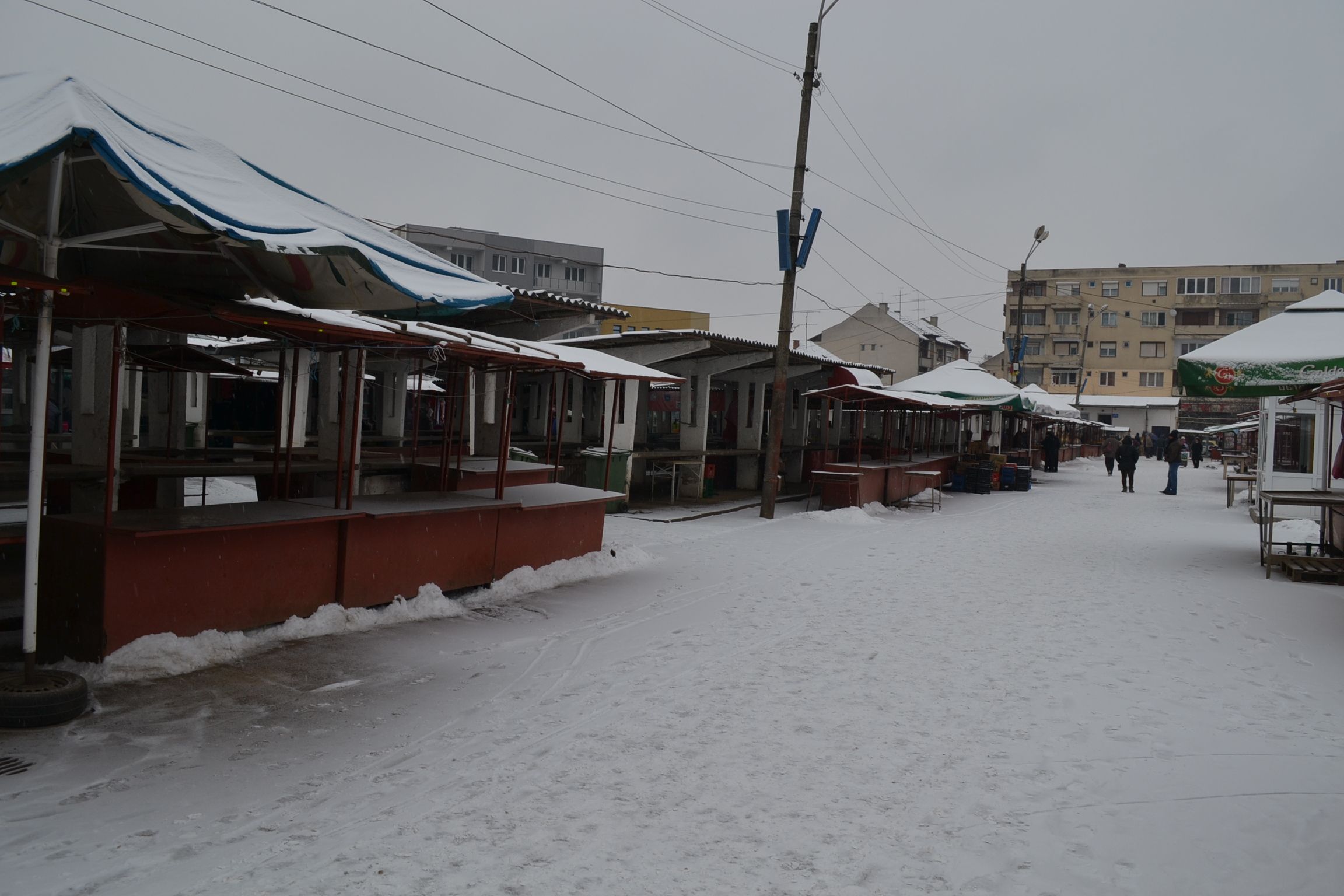 IARNA a pustiit PIEŢELE. FRIGUL şi ZĂPADA i-a ALUNGAT atât pe VÂNZĂTORI cât şi pe CUMPĂRĂTORI