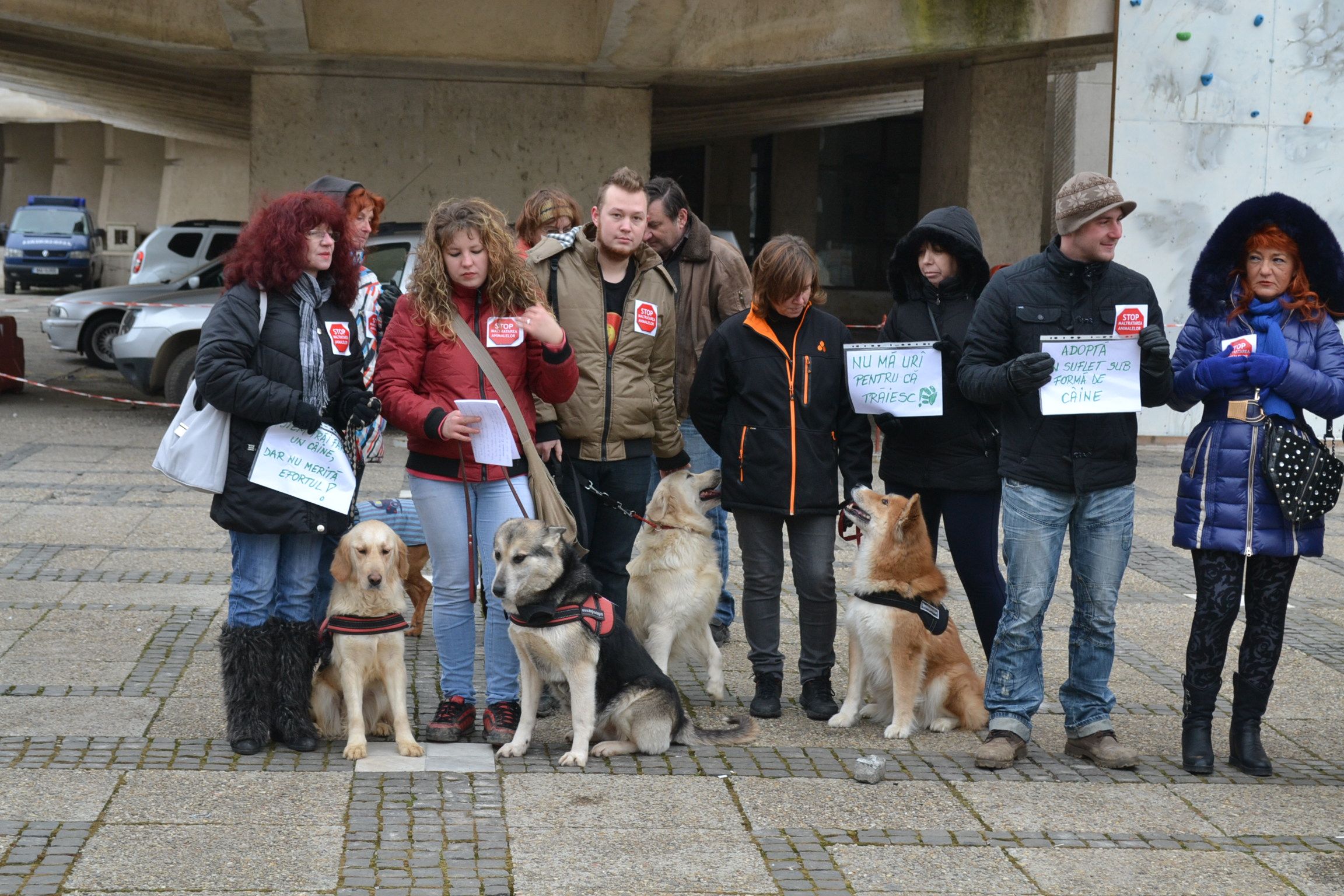 Protest inedit la Satu Mare