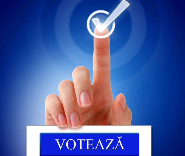 Patru parlamentari au depus la Senat un proiect de lege referitor la votul electronic