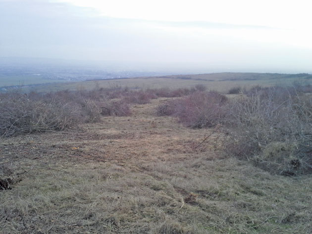 Cum să mori cu dreptatea în mână