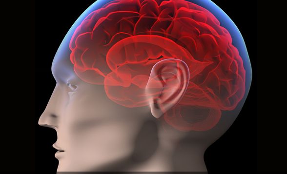 STUDIU: Creierul uman ar putea memora o cantitate de date echivalentă cu întregul Internet