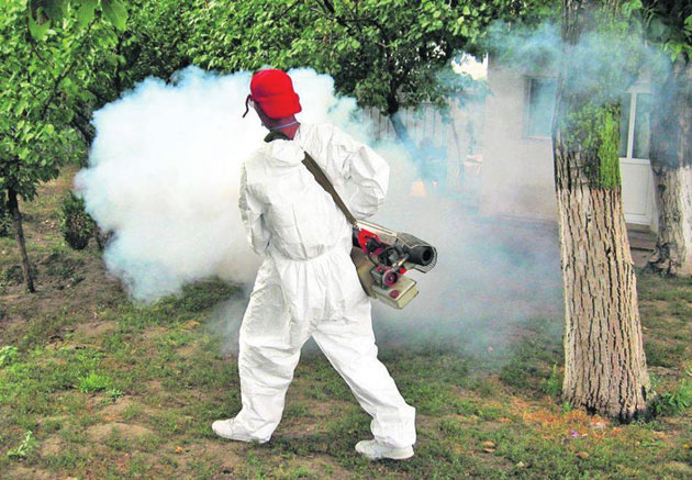 Stop trichinelozei de la Sătmărel