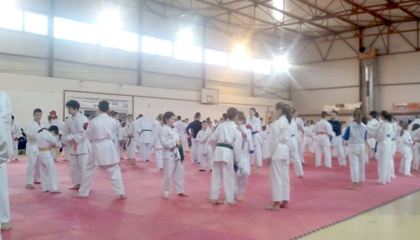 Careienii de la Karate Do  pregătiți de marele maestru  Mirio Mannini