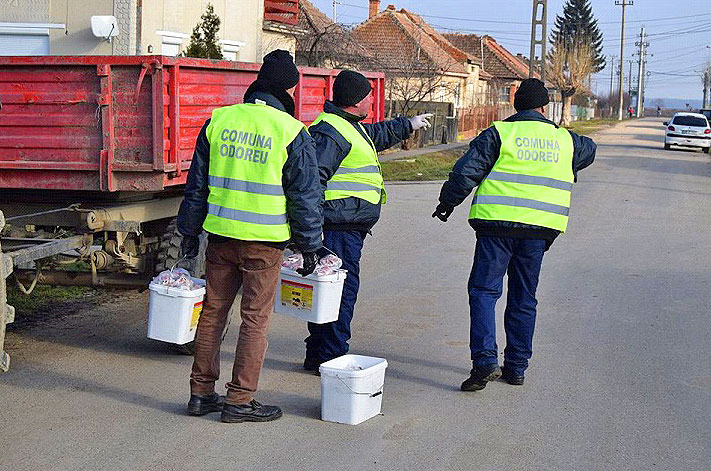 Deratizare pentru combaterea trichinelozei