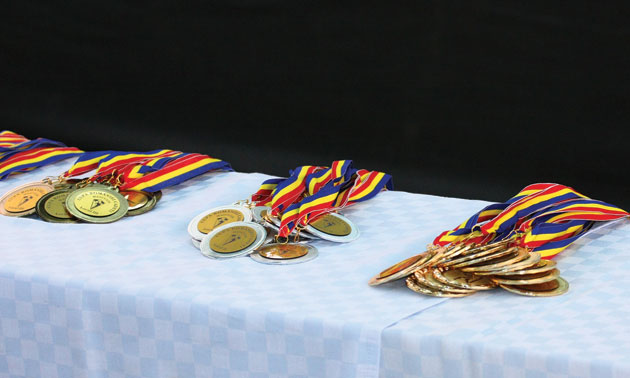 Sportivii vor fi premiaţi cu aceleaşi sume pentru performanţe similare