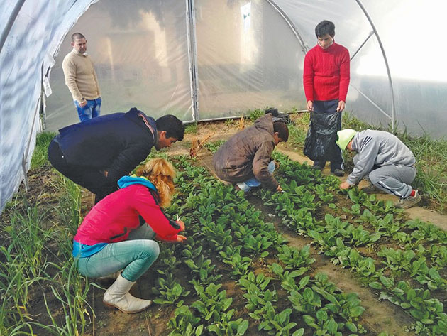 Proiectul „Grădina Stea”, finanțat prin programul „Idei din Țara lui Andrei”