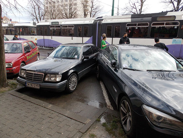 S-a rătăcit în oraşul de pe Bega