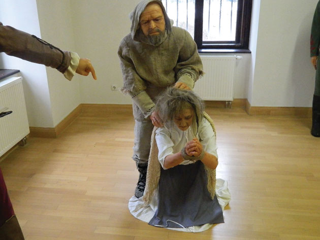 vrajitoare-carei-(4)