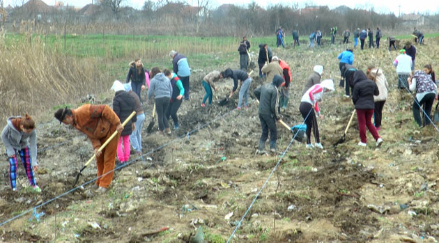 A început Marea Plantare!