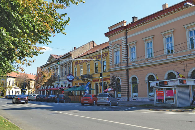 Imaginea supravieţuirii