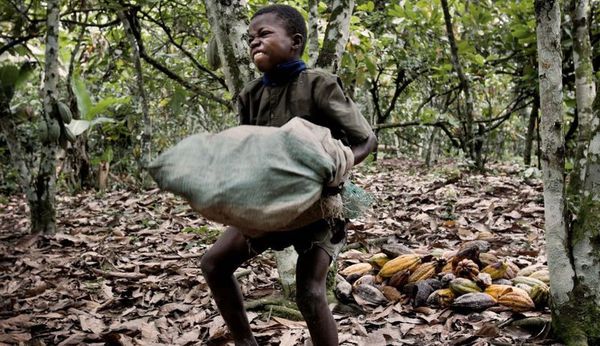 Modul inuman prin care giganţii din industria alimentară îşi procură materia primă. ''Este ca şi cum ar fi mâncat carnea de pe noi''