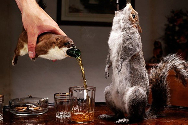 Una dintre cele mai scumpe beri din lume este servită într-o veveriţă moartă