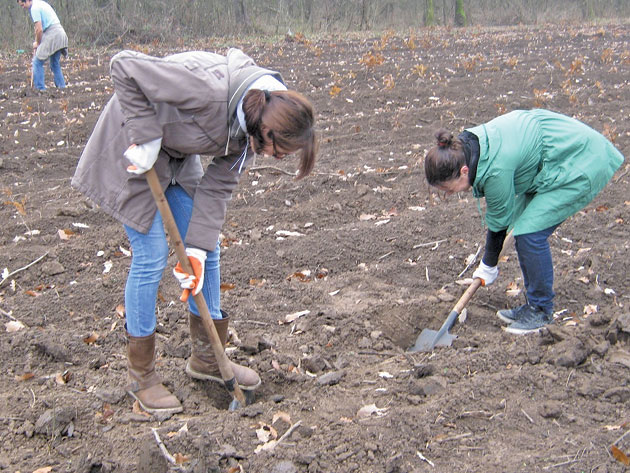 Ecologiştii de la Asociaţia Stea