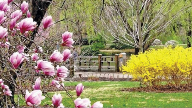 Cum va fi vremea în lunile aprilie şi mai