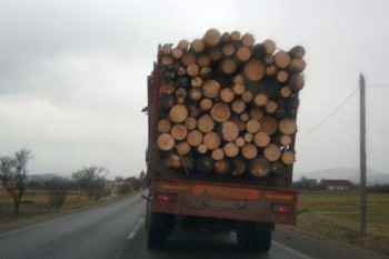 A sunat la 112 sa ANUNTE ca se fura padurea! Apoi a primit 1000 de lei AMENDA!