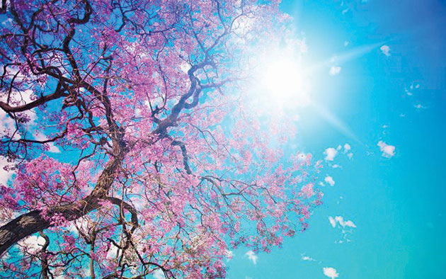 Temperaturile urcă la 24 grade Celsius până pe 1 aprilie