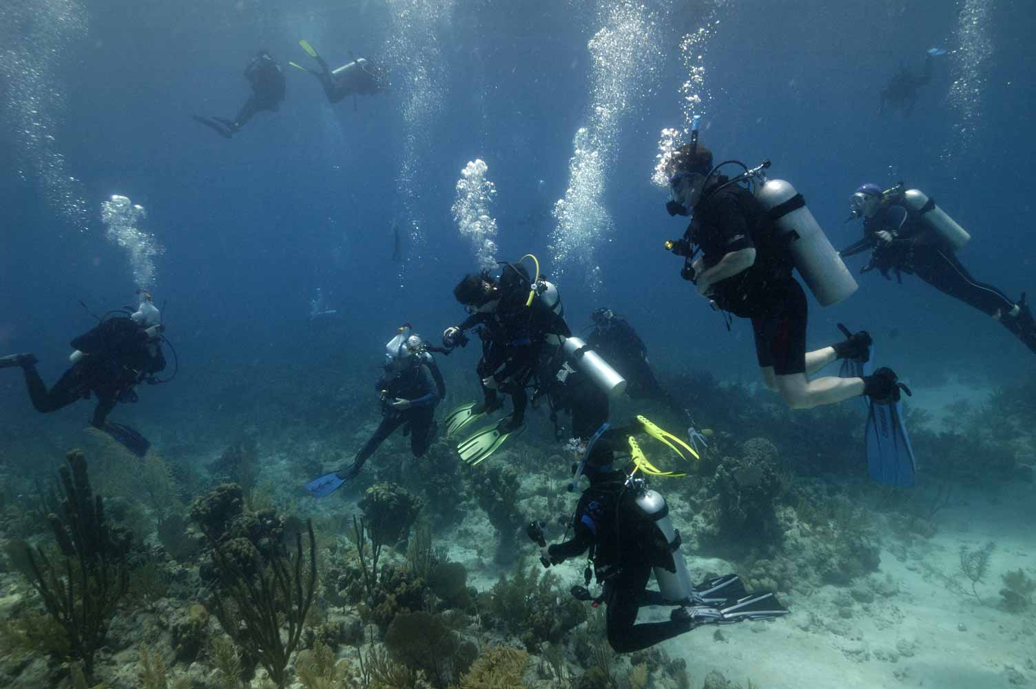 Record mondial pentru cel mai mare lanţ uman sub apă