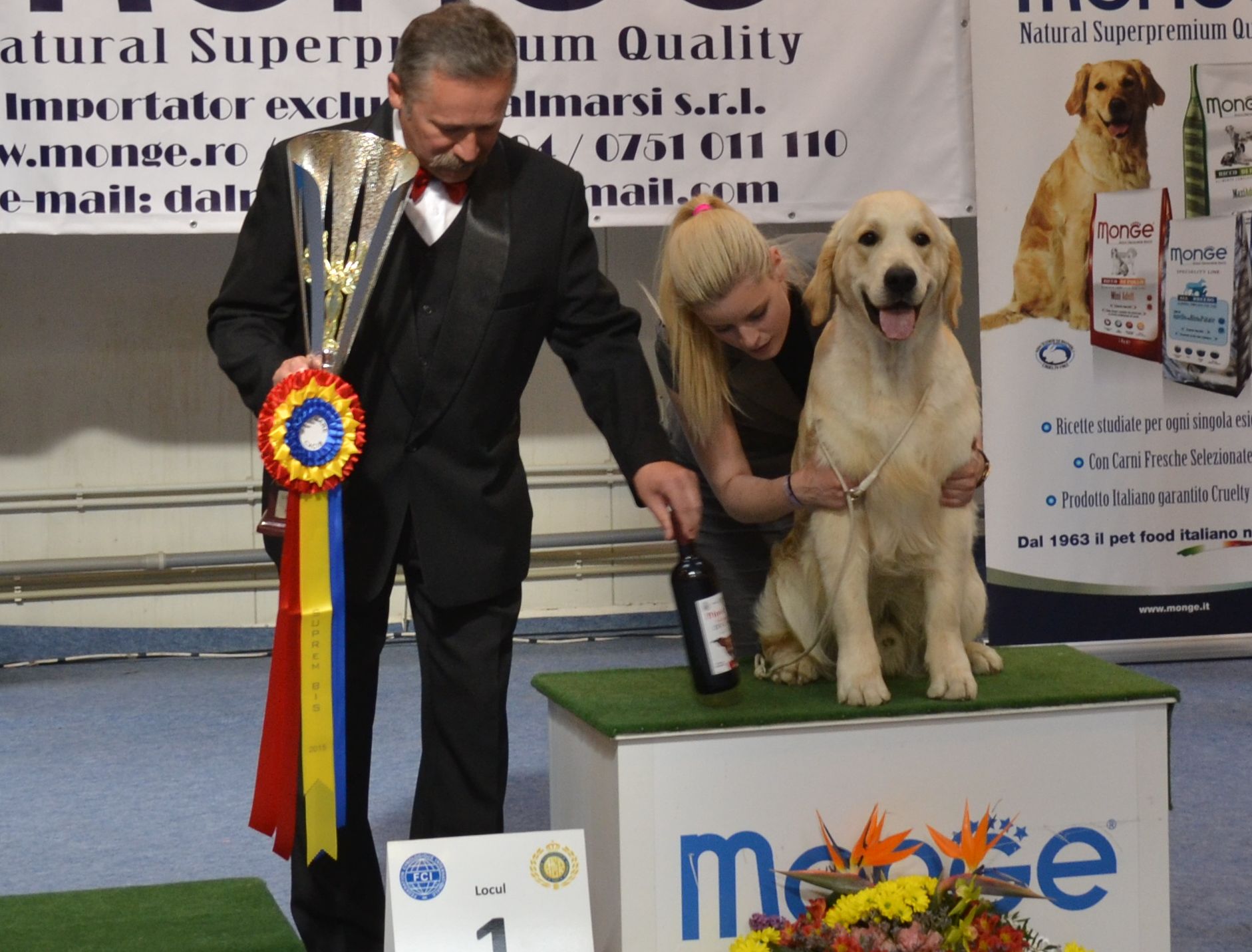 Sătmarul devine raiul câinilor de rasă!