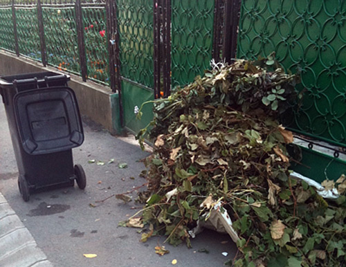 Se reia curatenia de primavara!