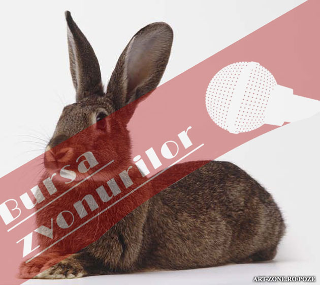 Despre iepuri, partea a 2-a