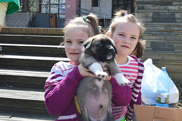 N-au lătrat degeaba după stăpân